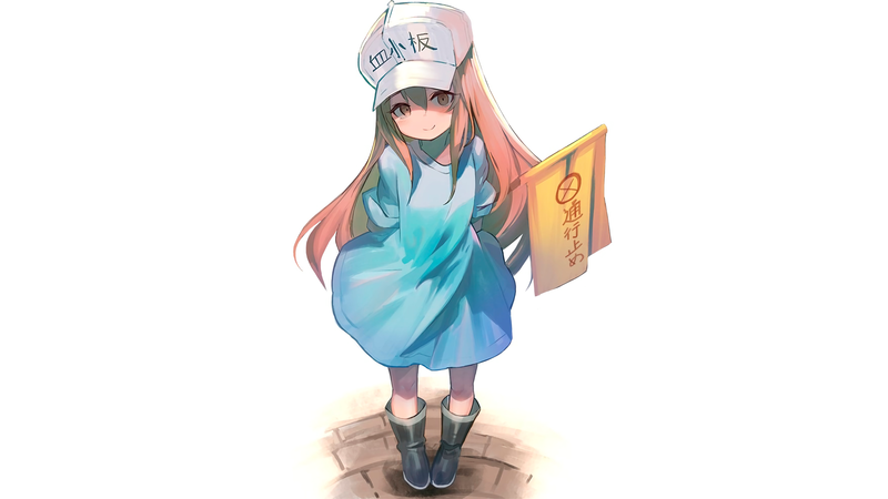 anime, manga, anime girls, simple background, minimalism, Hataraku Saibou, schoolgirl, hat, white background