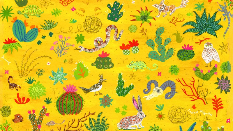 cactus, snake, colorful, animals, rabbits, artwork, scorpions