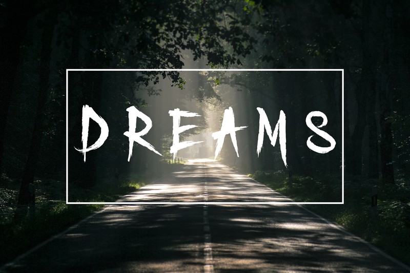 nature, typography, road, trees