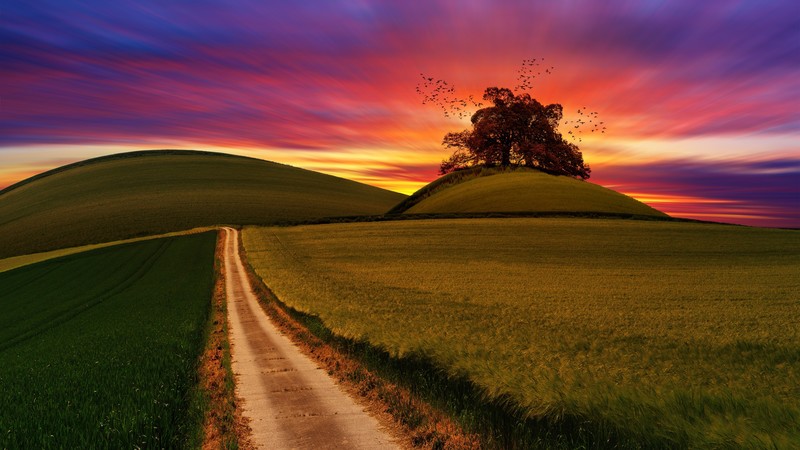 landscape, nature, road, purple sky, photo manipulation