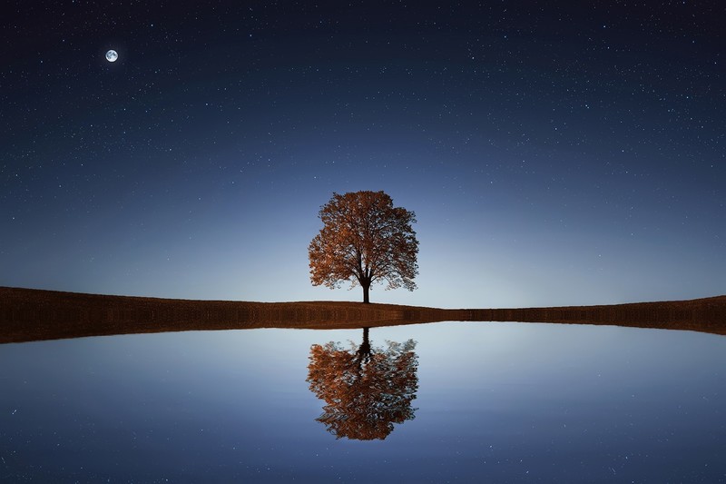 landscape, nature, night sky, water, trees, reflection