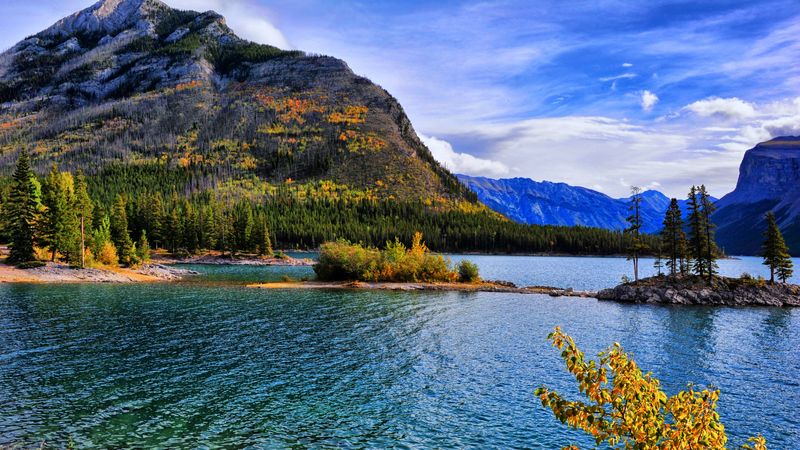slope, lake, forest, trees, autumn, 4k