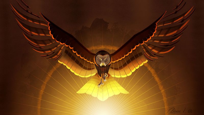 owl, bird, wings, art, 4k