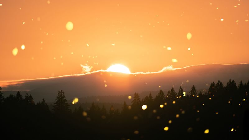 sun, flare, sunlight, sunset, landscape, 4k