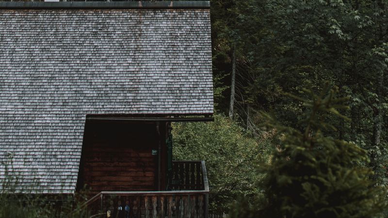 house, building, forest, trees, nature, 4k