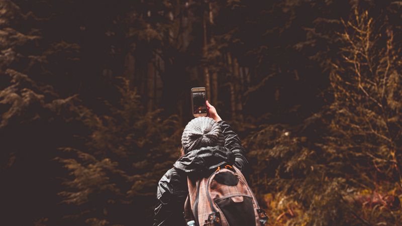 tourist, walk, mood, forest, travel, 4k