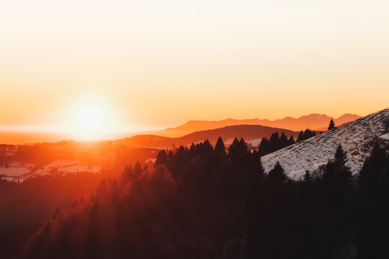 winter, forest, landscape, sunset, snow