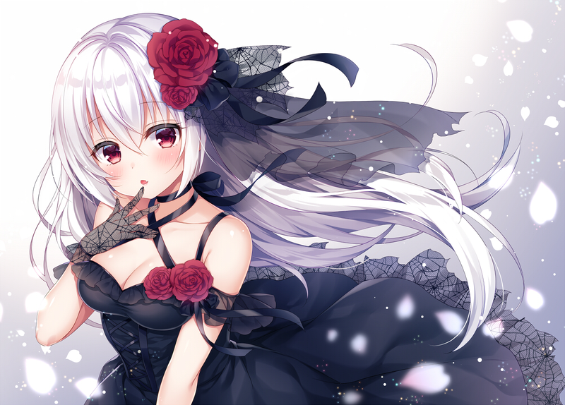 anime girls, white hair, roses, petals, black dress