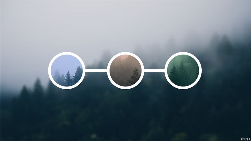 forest, abstract
