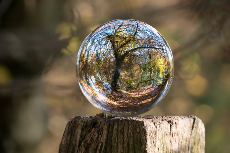 nature, landscape, sphere, reflection, trees