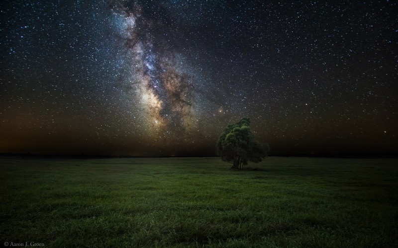 oasis, grass, nature, stars
