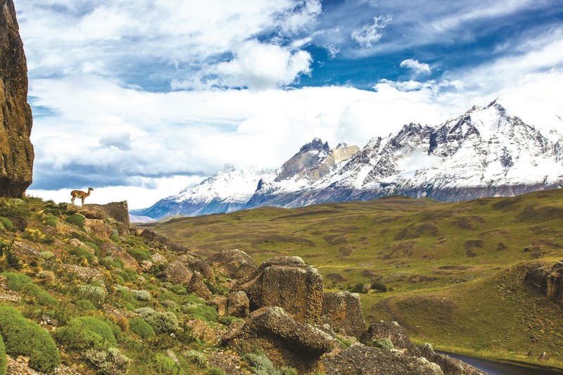 nature, landscape, mountains, clouds, snowy peak, animals, Patagonia, Chile, rock, valley, grass, moss, deer