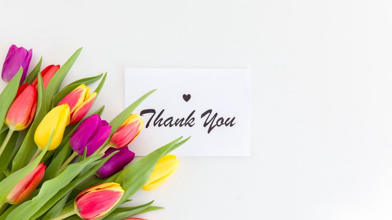 thank you, words, inscription, tulips, flowers, 4k