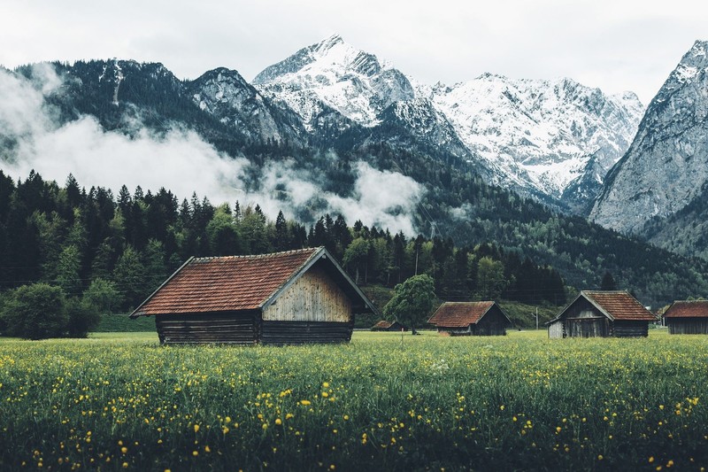 mountains, house, trees, plants, flowers, clouds, landscape, Switzerland, snow