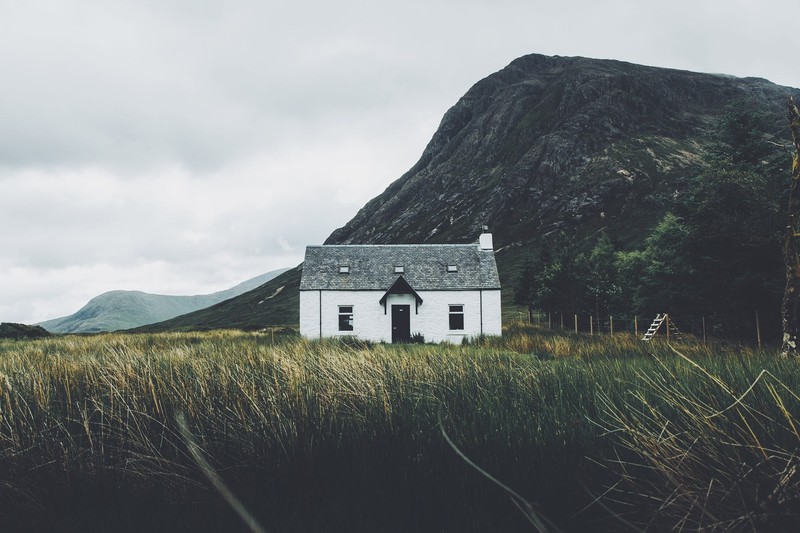 landscape, house, mountains, plants