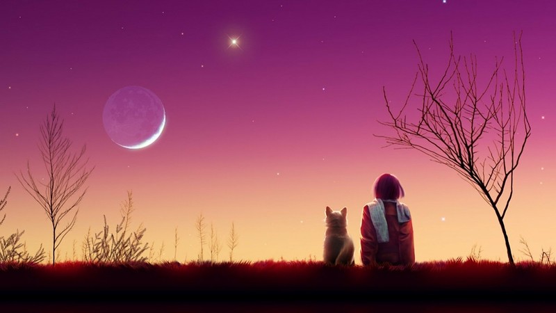 anime, anime boys, dusk, Moon, dog