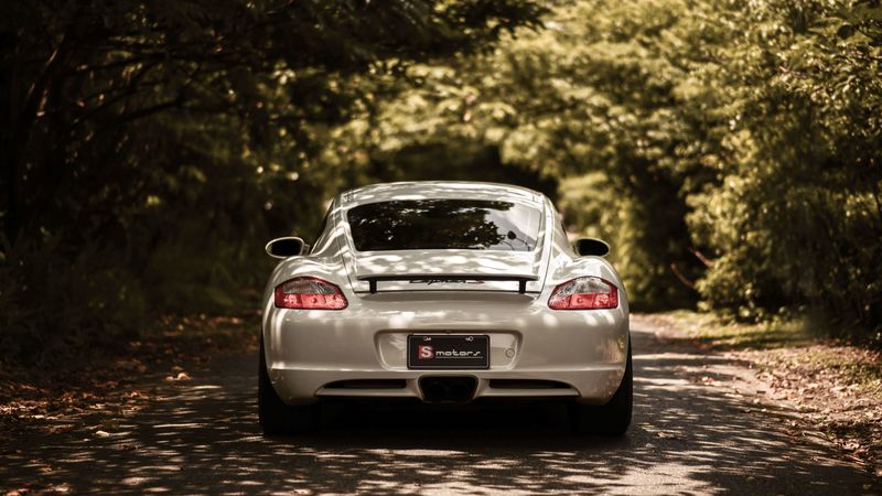 porsche cayman s, porsche, car, sportscar, white, rear view, 4k