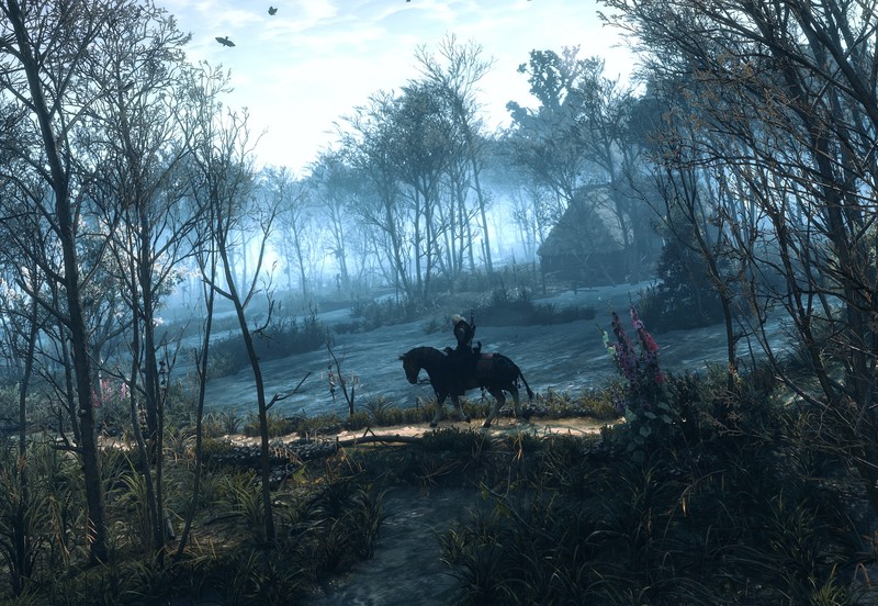 video games, The Witcher 3: Wild Hunt, The Witcher, Geralt of Rivia
