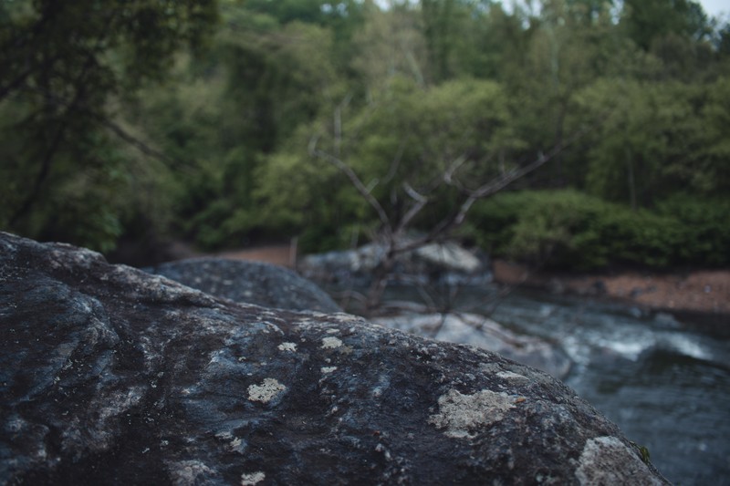 photography, nature, depth of field, landscape, river, rock