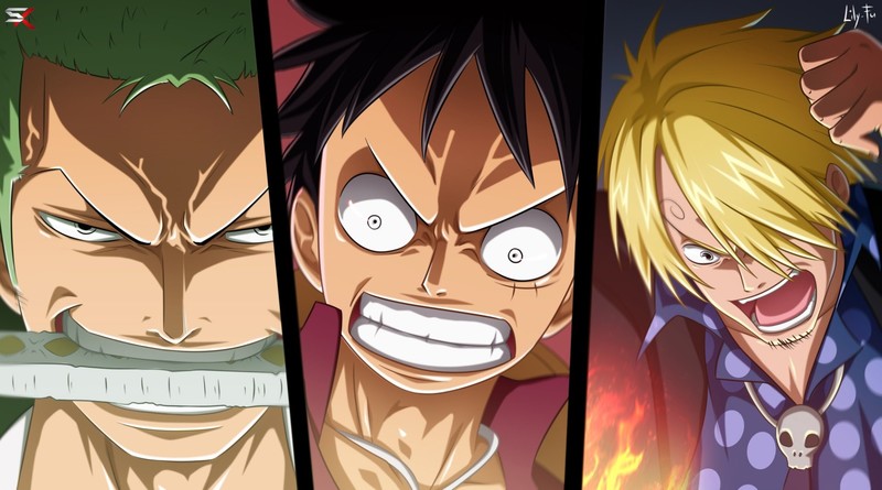 One Piece, Monkey D. Luffy, Roronoa Zoro, Sanji, Sabo