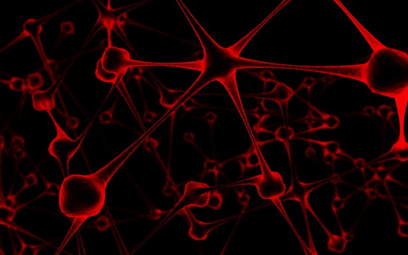 abstract, neurons, red, black, digital art
