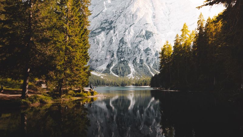mountains, lake, forest, landscape, nature, 4k