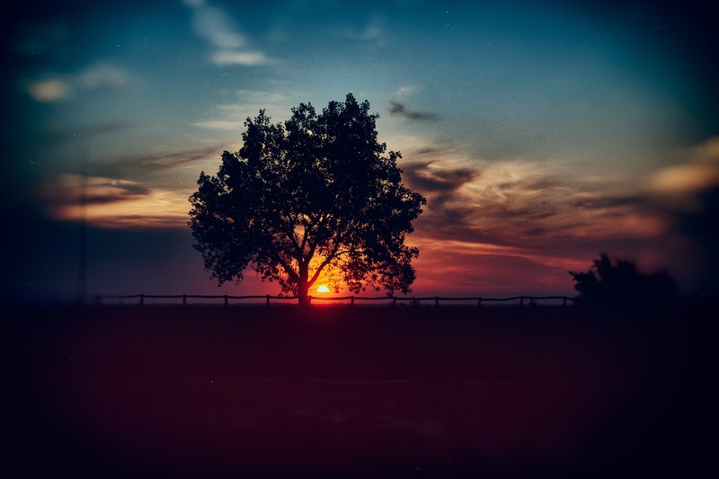 sunset, nature, landscape, silhouette, blurred