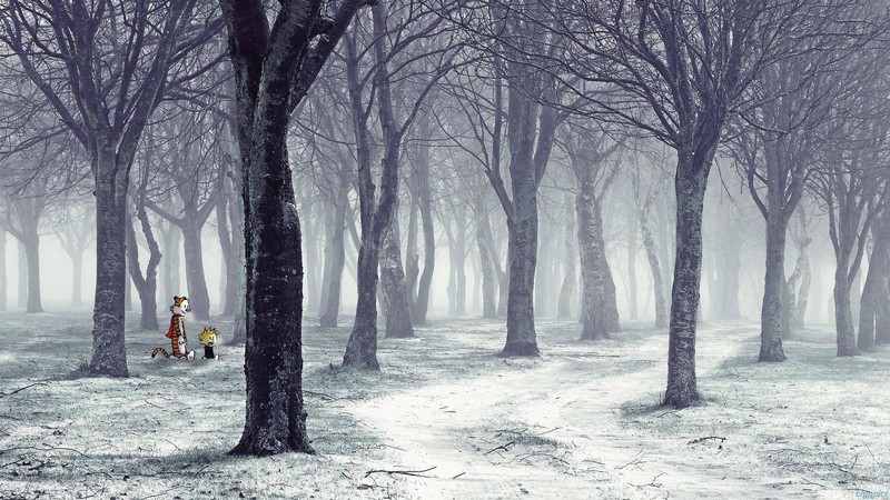 Calvin and Hobbes, cartoon, trees, winter, nature