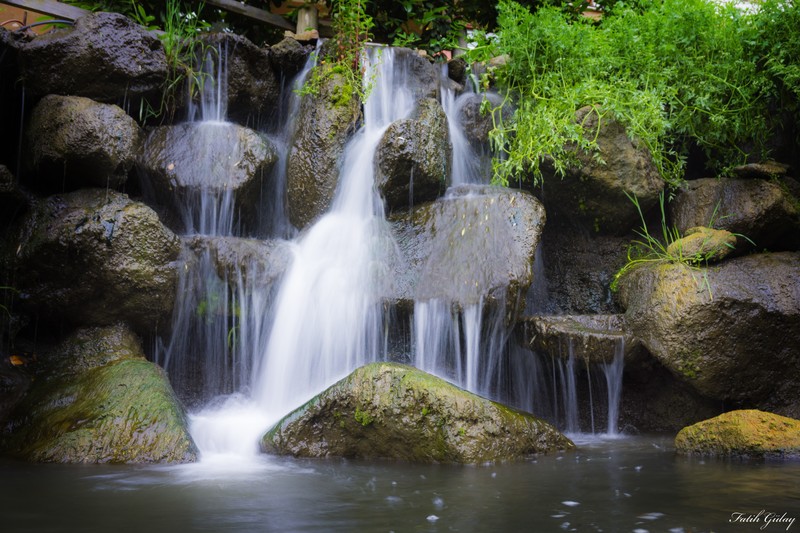 nature, waterfall, water, plants, stones