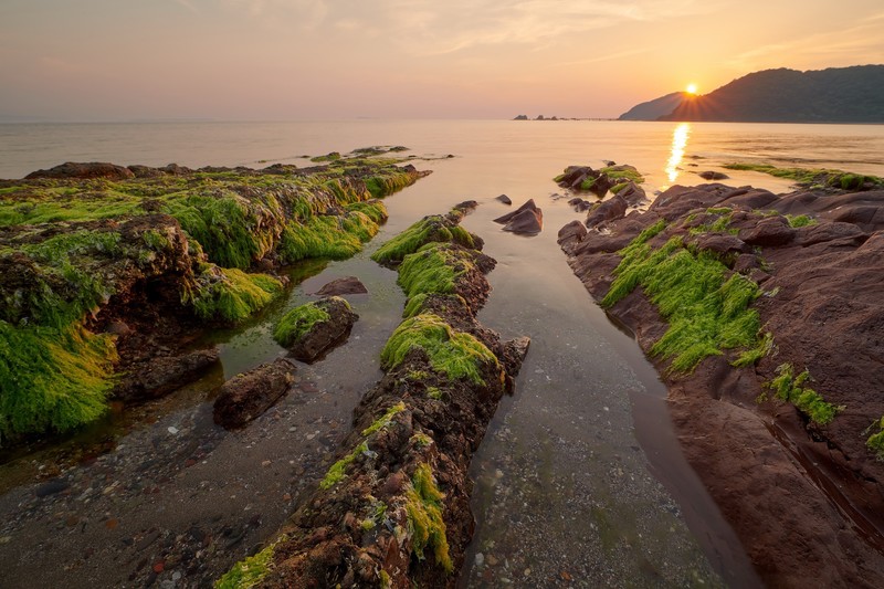 nature, sea, sunlight, water
