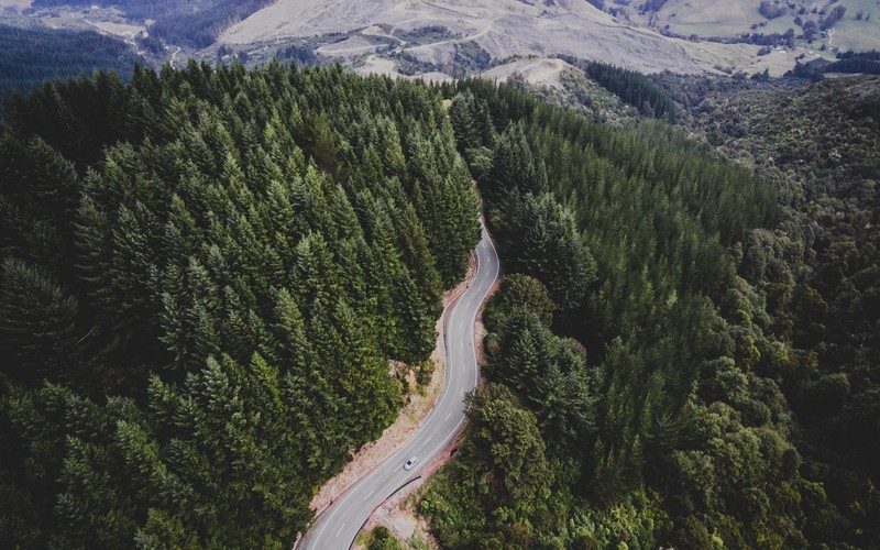 road, aerial view, trees, landscape