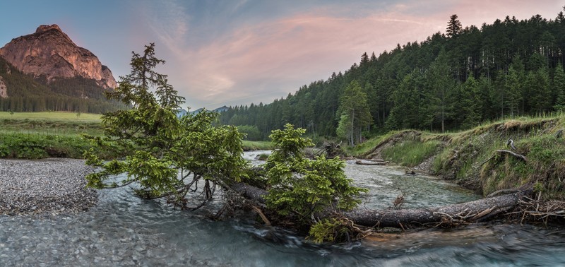 river, water, trees, nature