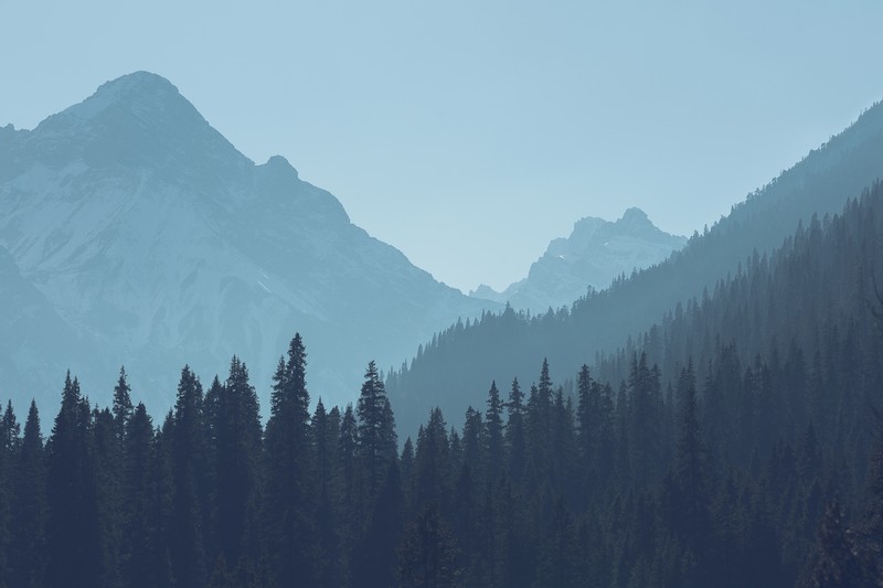 forest, mountains, landscape, trees, nature