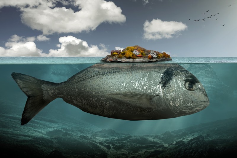 artwork, digital art, surreal, underwater, animals, fish, birds, island, house, clouds, rock, sea, horizon, fantasy art, trees, water