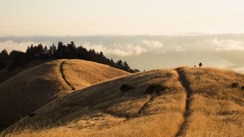 hills, mountains, path, landscape, height, 4k