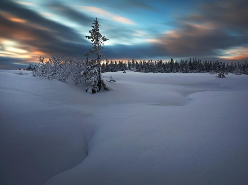Norway, landscape, snow, lights, clouds, sunset, trees