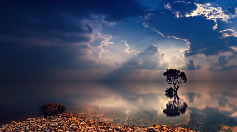 sky, clouds, water, nature, sea, horizon, calm waters, sun rays, blue, reflection, trees
