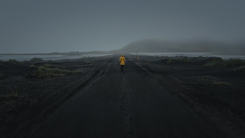 road, coats, mist, dirt road, walking, gloomy, black sand, yellow jacket, raincoat, yellow raincoat, gravel, depressing, overcast, dark, overcoats