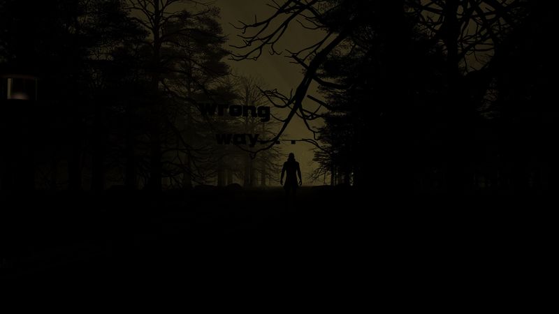 silhouette, dark, night, forest, trees, 4k