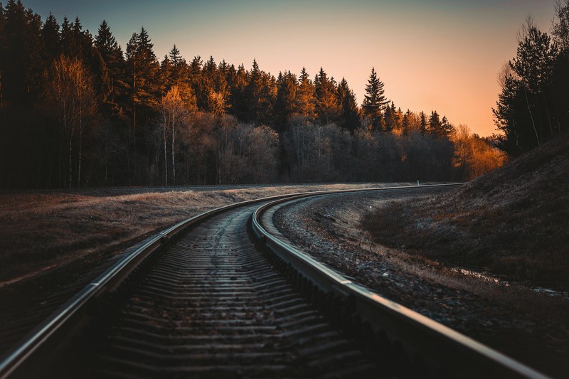 railway, railroad track, forest, nature, trees, landscape, sunlight, sunset, photography, Unsplash