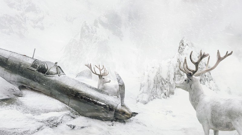 nature, landscape, Martin Stranka, Photoshop, animals, winter, snow, deer, airplane, crash, accidents, mountains, wreck, mist, snowing