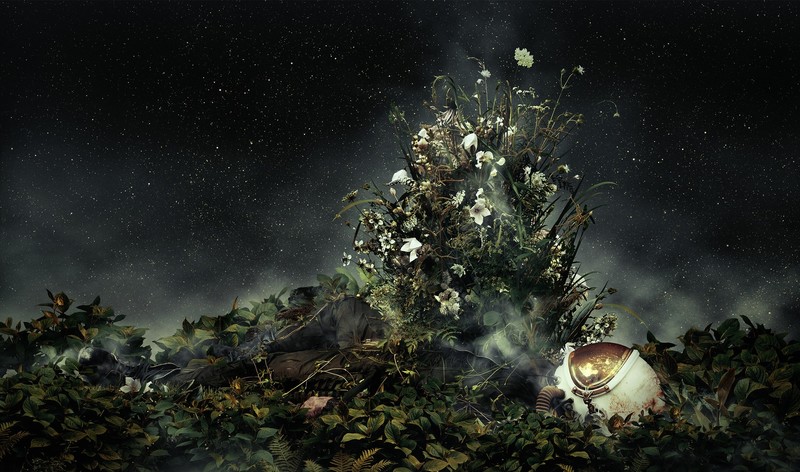 nature, landscape, Martin Stranka, Photoshop, pilot, helmet, stars, night, flowers, plants, leaves, mist