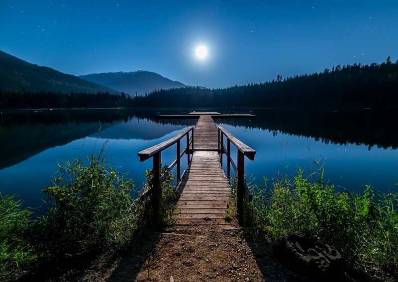 Moon, lake, nature, water, bridge, forest, landscape, dock