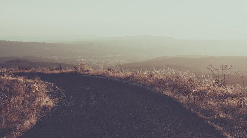 nature, road, mist