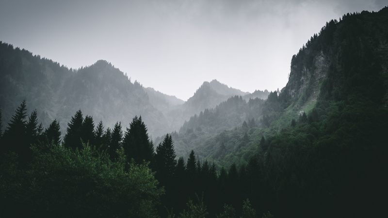 mountains, forest, fog, landscape, 4k