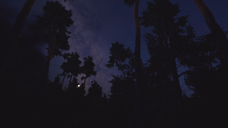 3D, forest, clouds, stars, trees, Milky Way