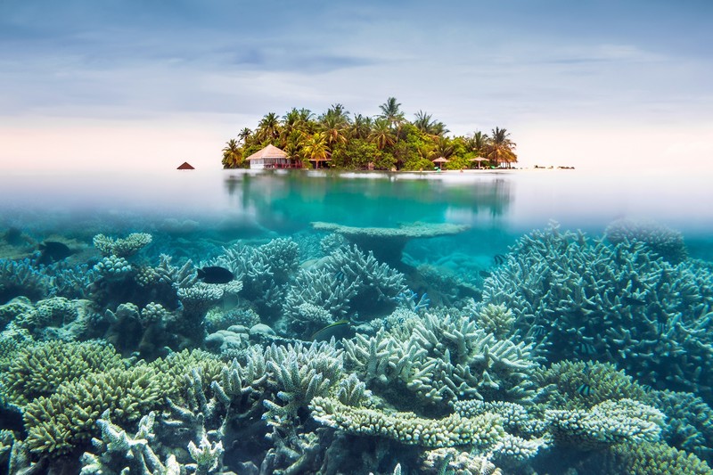 underwater, island, sea, nature, calm, turquoise, tropical