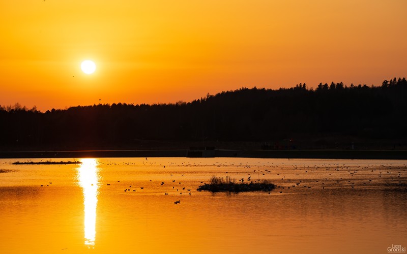 sunset, lake, yellow, landscape, nature, water, photography