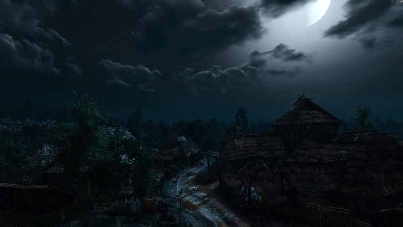 The Witcher, The Witcher 3: Wild Hunt, night, village, video games