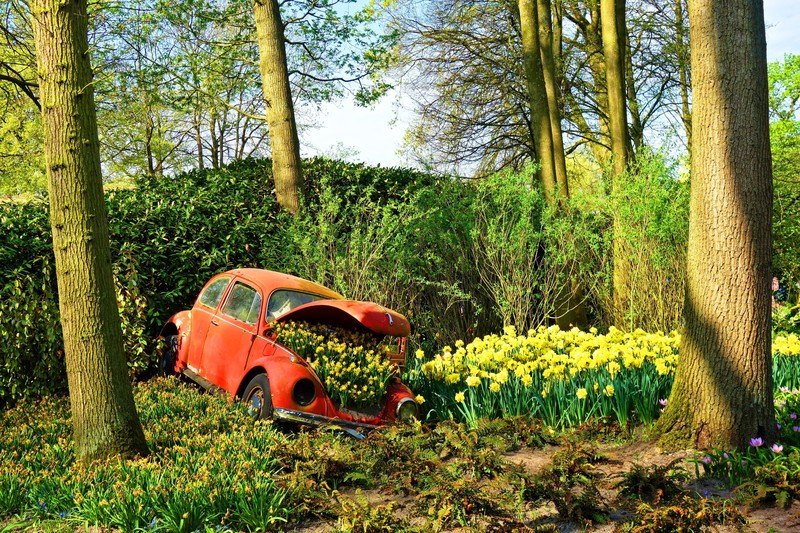 car, vehicle, wreck, Volkswagen Beetle